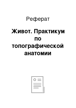 Реферат: Живот. Практикум по топографической анатомии