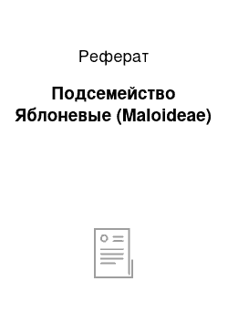 Реферат: Подсемейство Яблоневые (Maloideae)