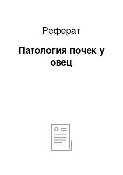 Реферат: Патология почек у овец