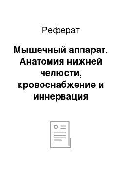 Реферат: Мышечный аппарат. Анатомия нижней челюсти, кровоснабжение и иннервация