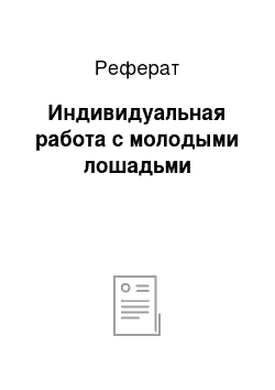 Реферат: Индивидуальная работа с молодыми лошадьми