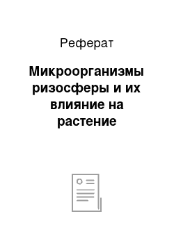 Реферат: Микроорганизмы ризосферы и их влияние на растение