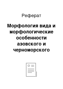 Реферат: Морфология вида и морфологические особенности азовского и черноморского анчоусов