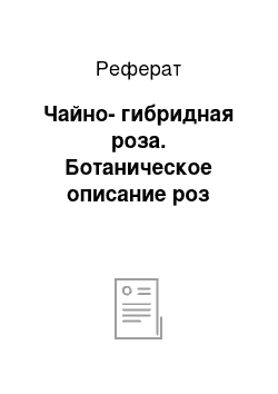 Реферат: Чайно-гибридная роза. Ботаническое описание роз