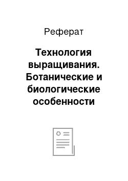 Реферат: Технология выращивания. Ботанические и биологические особенности культуры