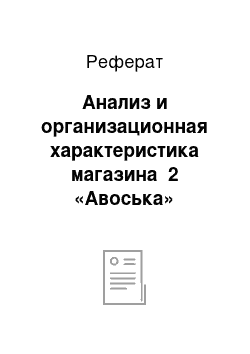 Реферат: Анализ и организационная характеристика магазина №2 «Авоська»