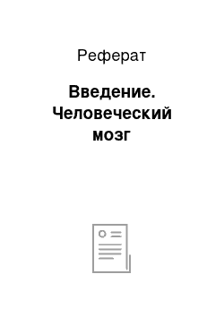 Реферат: Введение. Человеческий мозг