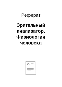 Реферат: Зрительный анализатор. Физиология человека