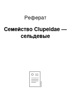 Реферат: Семейство Clupeidae — сельдевые