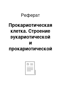 Реферат: Прокариотическая клетка. Строение эукариотической и прокариотической клеток