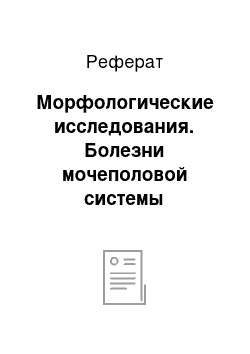 Реферат: Морфологические исследования. Болезни мочеполовой системы