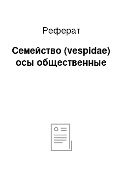 Реферат: Семейство (vespidae) осы общественные