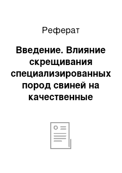 Реферат: Введение. Влияние скрещивания специализированных пород свиней на качественные показатели мяса