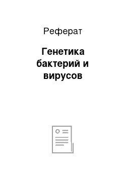 Реферат: Генетика бактерий и вирусов