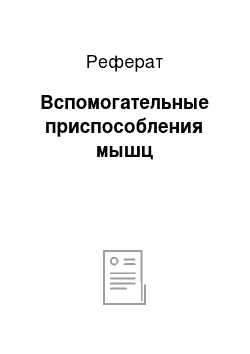 Реферат: Вспомогательные приспособления мышц