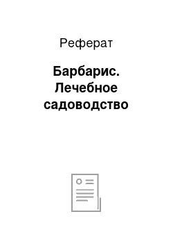 Реферат: Барбарис. Лечебное садоводство