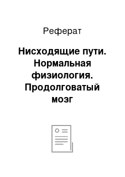 Реферат: Нисходящие пути. Нормальная физиология. Продолговатый мозг