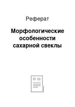 Реферат: Морфологические особенности сахарной свеклы