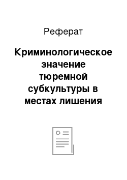 Реферат: Криминологическое значение тюремной субкультуры в местах лишения свободы для несовершеннолетних