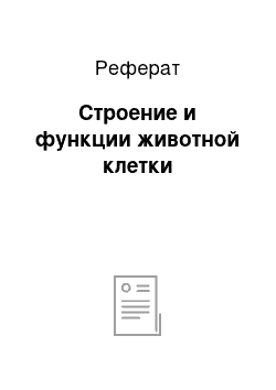 Реферат: Строение и функции животной клетки