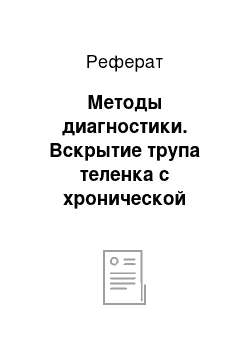 Реферат: Методы диагностики. Вскрытие трупа теленка с хронической катаральной бронхопневмонией