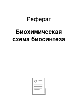 Реферат: Биохимическая схема биосинтеза