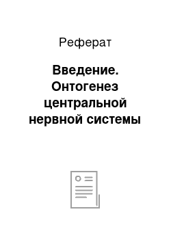 Реферат: Введение. Онтогенез центральной нервной системы