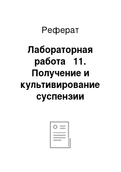 Реферат: Лабораторная работа № 11. Получение и культивирование суспензии картофеля на средах с различными гормонами