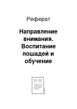 Реферат: Направление внимания. Воспитание лошадей и обучение наездников