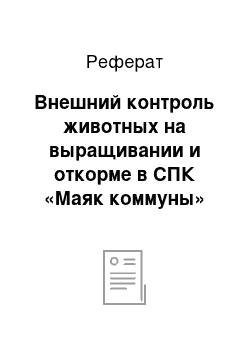 Реферат: Внешний контроль животных на выращивании и откорме в СПК «Маяк коммуны»