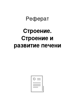 Реферат: Строение. Строение и развитие печени