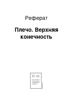 Реферат: Плечо. Верхняя конечность