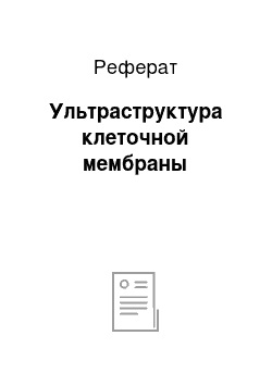 Реферат: Ультраструктура клеточной мембраны