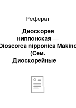 Реферат: Диоскорея ниппонская — Dioscorea nipponica Makino (Сем. Диоскорейные — Dioscoreaceae)