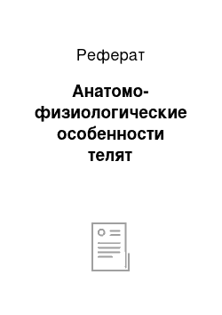 Реферат: Анатомо-физиологические особенности телят