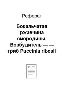 Реферат: Бокальчатая ржавчина смородины. Возбудитель — — гриб Puccinia ribesii caricis Kleb