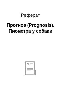 Реферат: Прогноз (Prognosis). Пиометра у собаки