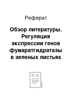 Реферат: Обзор литературы. Регуляция экспрессии генов фумаратгидратазы в зеленых листьях кукурузы в условиях гипоксии