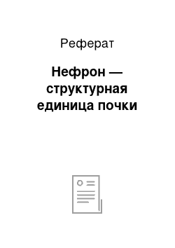 Реферат: Нефрон — структурная единица почки