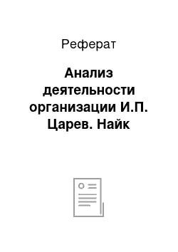 Реферат: Анализ деятельности организации И.П. Царев. Найк