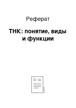 Реферат: ТНК: понятие, виды и функции