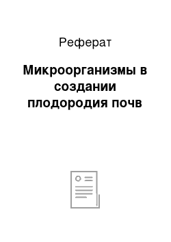 Реферат: Микроорганизмы в создании плодородия почв