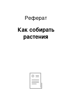 Реферат: Как собирать растения