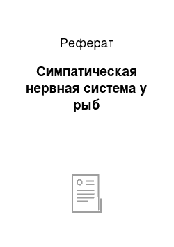 Реферат: Симпатическая нервная система у рыб