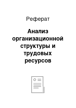 Реферат: Анализ организационной структуры и трудовых ресурсов предприятия