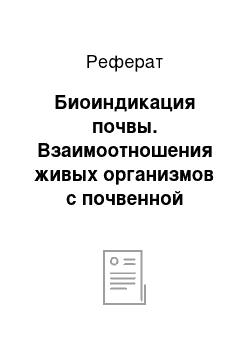 Реферат: Биоиндикация почвы. Взаимоотношения живых организмов с почвенной средой