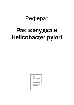 Реферат: Рак желудка и Helicobacter pylori