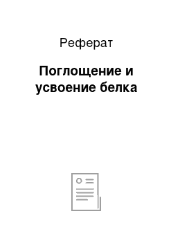 Реферат: Поглощение и усвоение белка