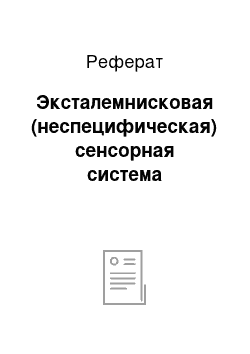 Реферат: Эксталемнисковая (неспецифическая) сенсорная система