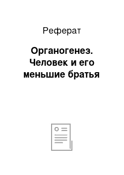 Реферат: Органогенез. Человек и его меньшие братья